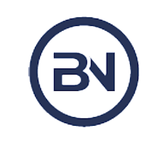 Borg Norris logo
