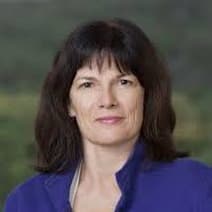 Denise V. Cheney, PLLC logo