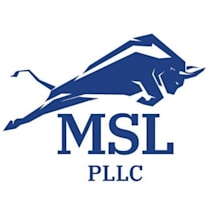Law Offices of Michael S. Lamonsoff, PLLC law firm logo
