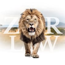 Click to view profile of Zar Law , a top rated Wrongful Death attorney in Houston, TX