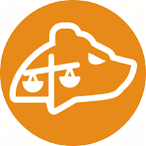 Bear Litigation, PLLC law firm logo