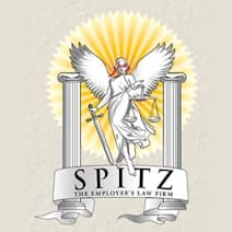 Click to view profile of Spitz, The Employee's Law Firm, a top rated Wrongful Termination attorney in Boardman, OH
