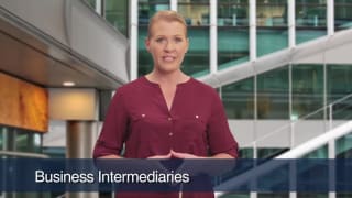 Video Business Intermediaries
