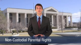 Video Non-Custodial Parental Rights